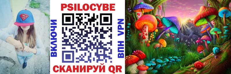 Галлюциногенные грибы Cubensis Подпорожье
