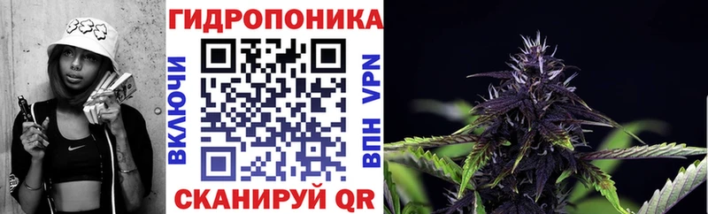 Конопля конопля  MEGA ссылки  Подпорожье 